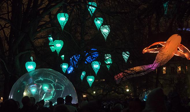 Bal des Luminéoles La Roche sur Yon