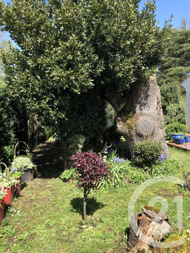 maison à louer - 5 pièces - 135.13 m2 - LA ROCHE SUR YON - 85 - PAYS-DE-LOIRE - Century 21 Accort'Immo